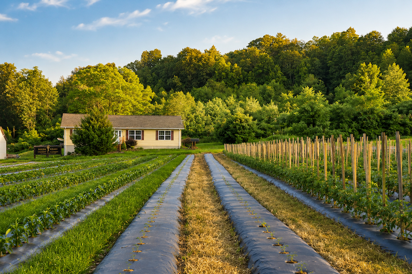 the winery lands
