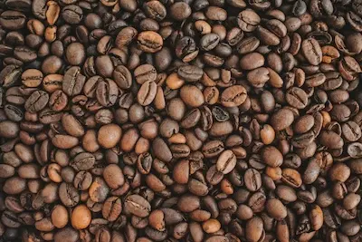 beans