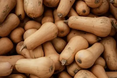butternut squash