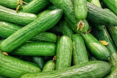 cucumbers