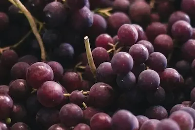 grapes