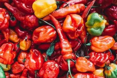 peppers