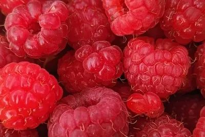 red raspberries