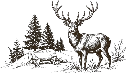 deer-bg-img
