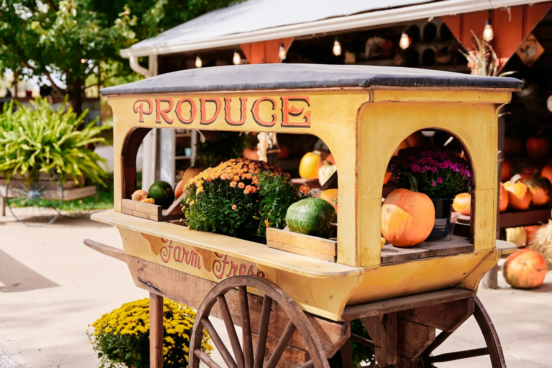 Farm-fresh produce cart with pumpkins and mums
